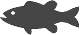 BB